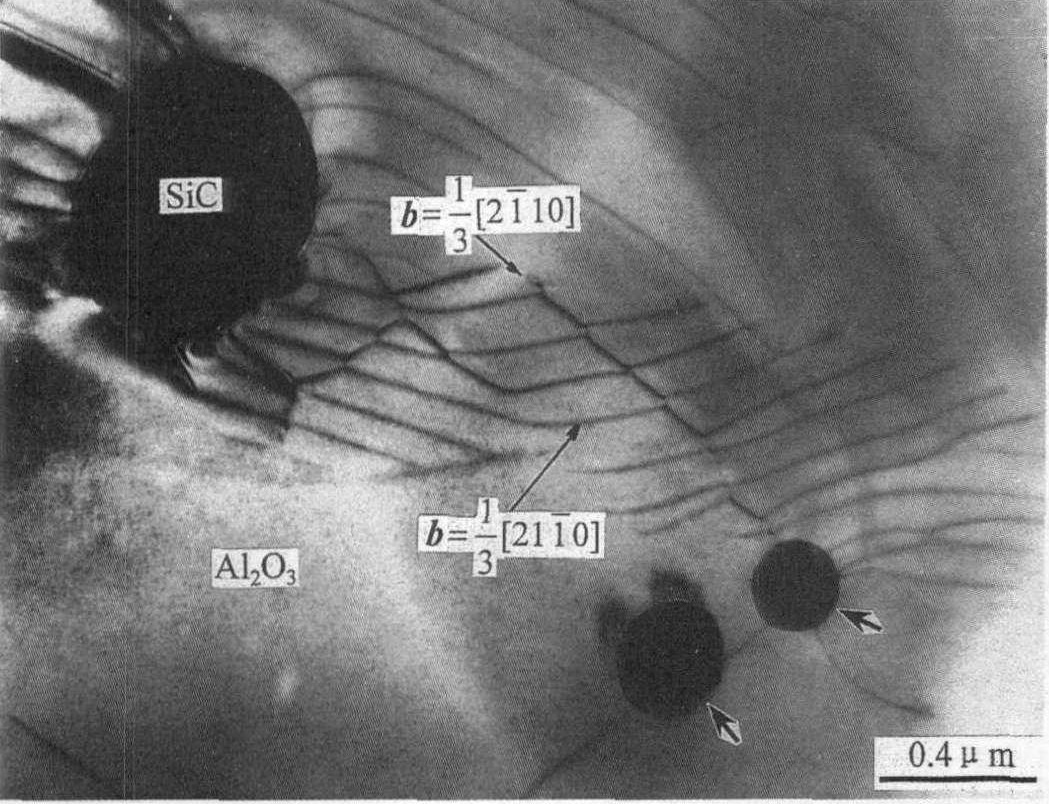 照片81 Al<sub>2</sub>O<sub>3</sub>/SiC纳米复合陶瓷中的小角晶界